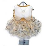 Fairy Costume